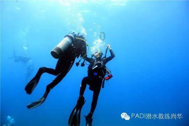 她的故事